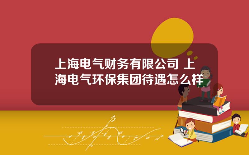 上海电气财务有限公司 上海电气环保集团待遇怎么样